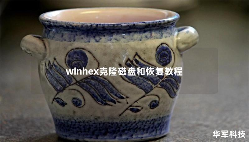 winhex克隆磁盘和恢复教程
