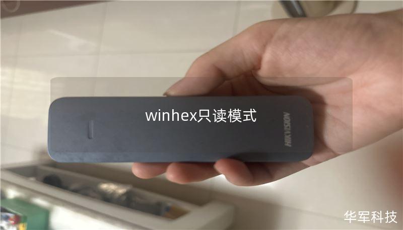 winhex只读模式