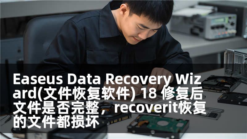Easeus Data Recovery Wizard(文件恢复软件) 18 修复后文件是否完整，recoverit恢复的文件都损坏