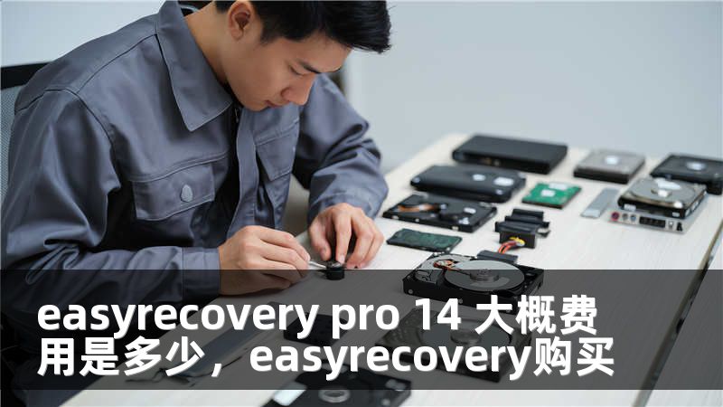easyrecovery pro 14 大概费用是多少，easyrecovery购买