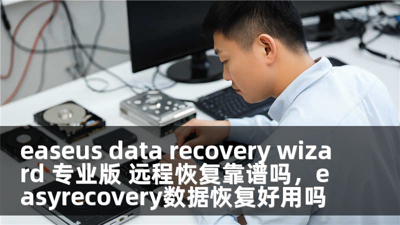 easeus data recovery wizard 专业版 远程恢复靠谱吗，easyrecovery数据恢复好用吗
