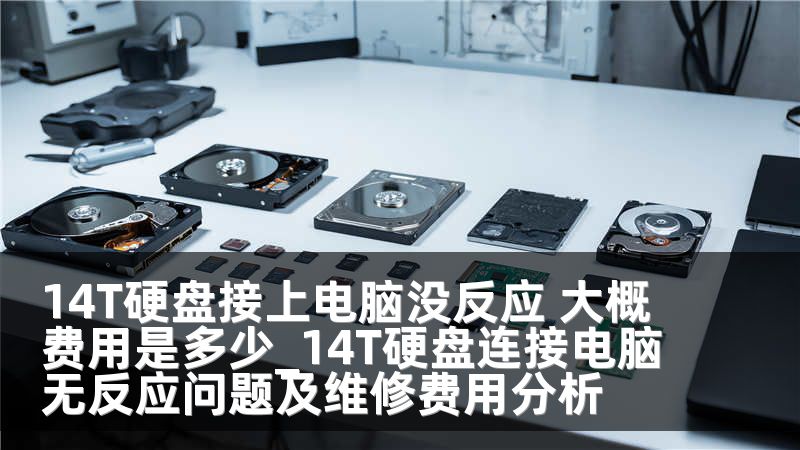 14T硬盘接上电脑没反应 大概费用是多少_14T硬盘连接电脑无反应问题及维修费用分析