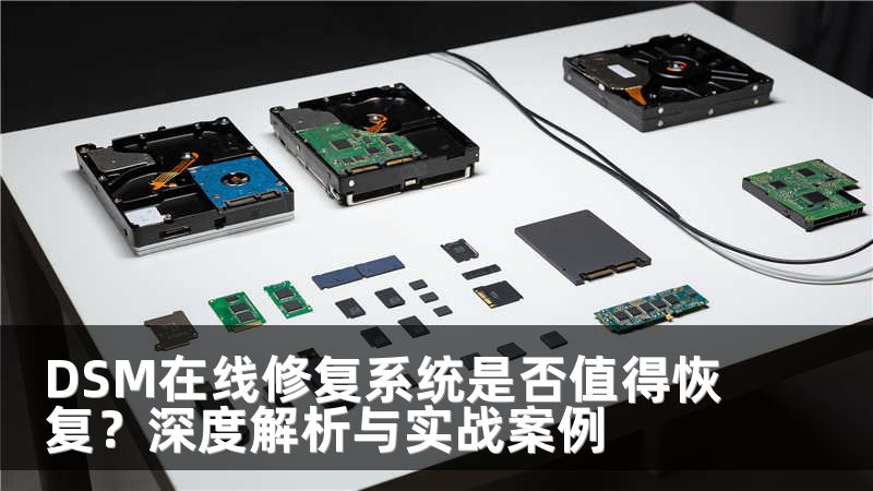 DSM在线修复系统是否值得恢复？深度解析与实战案例