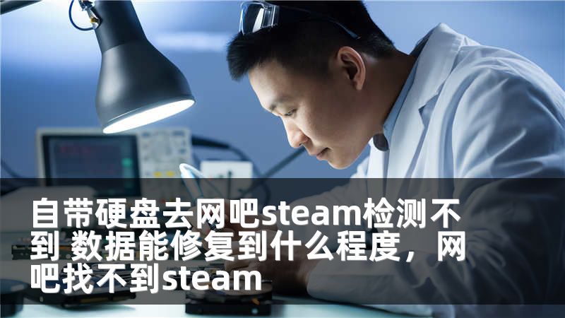 自带硬盘去网吧steam检测不到 数据能修复到什么程度，网吧找不到steam