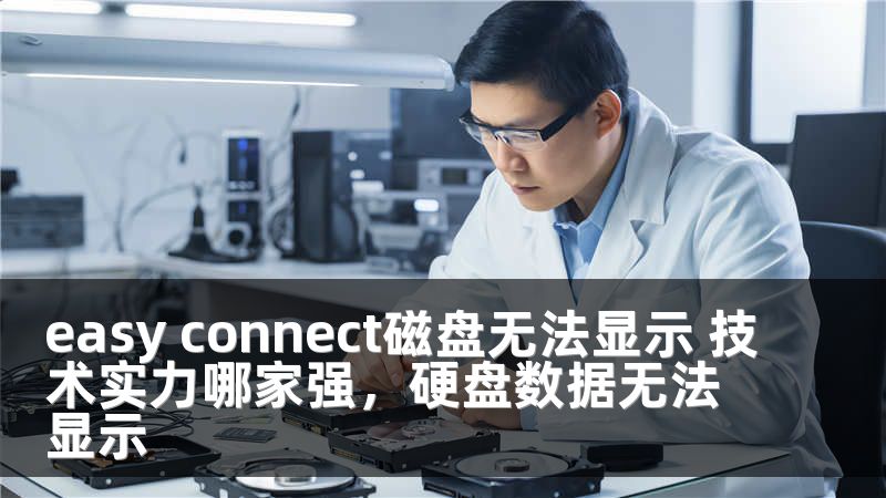 easy connect磁盘无法显示 技术实力哪家强，硬盘数据无法显示