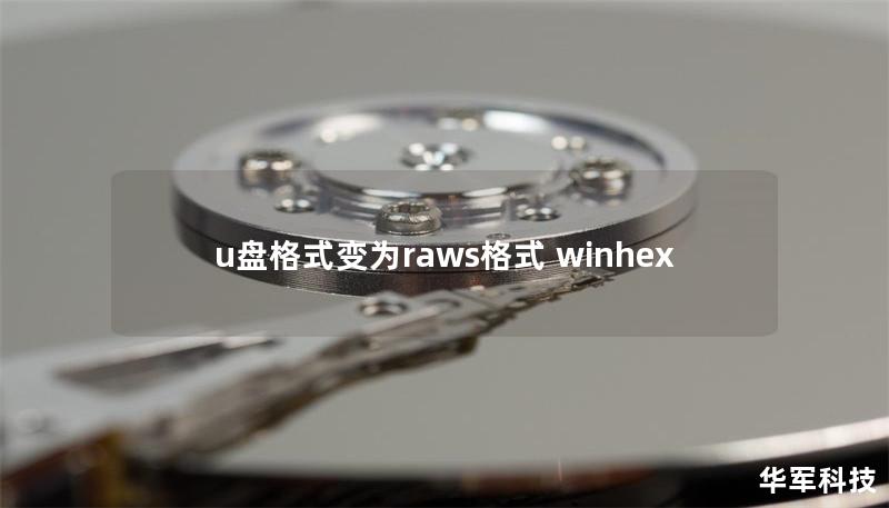 u盘格式变为raws格式 winhex