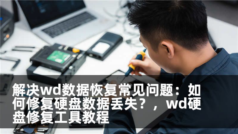 解决wd数据恢复常见问题：如何修复硬盘数据丢失？，wd硬盘修复工具教程