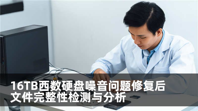16TB西数硬盘噪音问题修复后文件完整性检测与分析