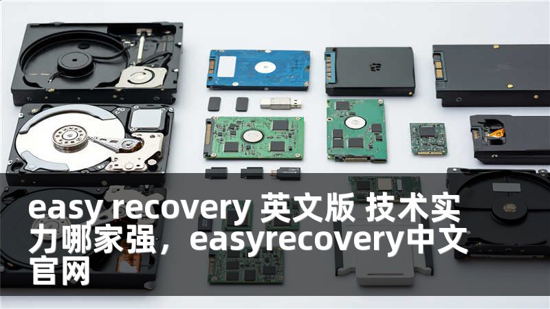 easy recovery 英文版 技术实力哪家强，easyrecovery中文官网