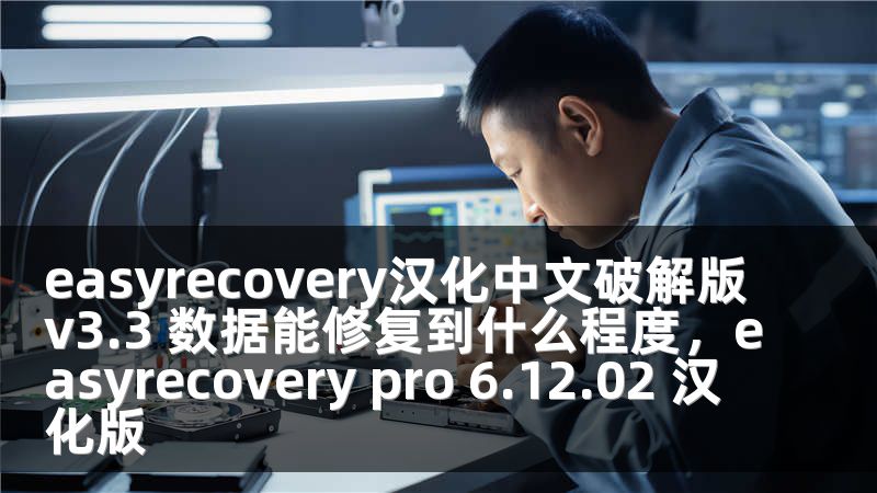 easyrecovery汉化中文破解版v3.3 数据能修复到什么程度，easyrecovery pro 6.12.02 汉化版