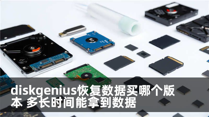 diskgenius恢复数据买哪个版本 多长时间能拿到数据