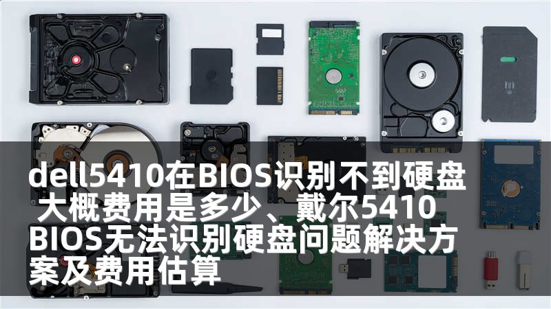 dell5410在BIOS识别不到硬盘 大概费用是多少、戴尔5410 BIOS无法识别硬盘问题解决方案及费用估算