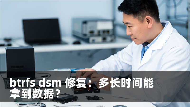 btrfs dsm 修复：多长时间能拿到数据？