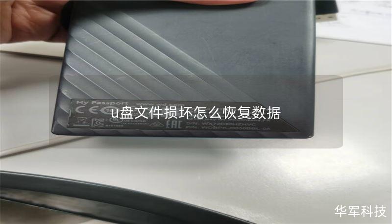 u盘文件损坏怎么恢复数据