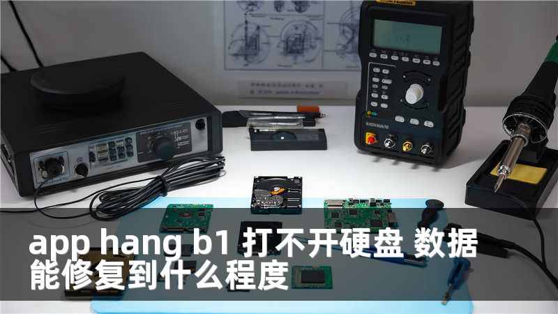 app hang b1 打不开硬盘 数据能修复到什么程度