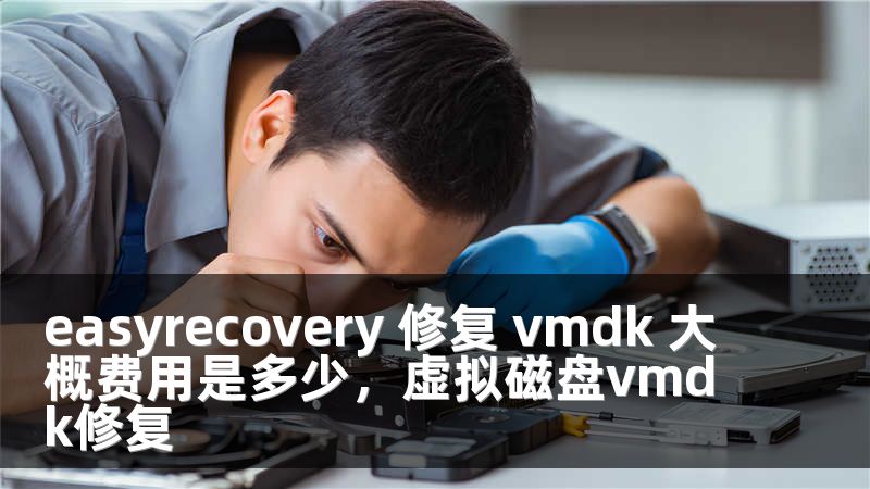 easyrecovery 修复 vmdk 大概费用是多少，虚拟磁盘vmdk修复