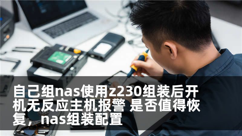 自己组nas使用z230组装后开机无反应主机报警 是否值得恢复，nas组装配置