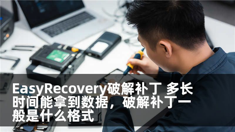 EasyRecovery破解补丁 多长时间能拿到数据，破解补丁一般是什么格式