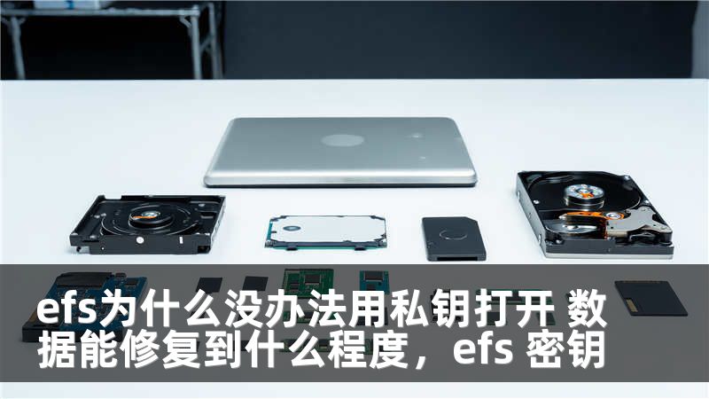efs为什么没办法用私钥打开 数据能修复到什么程度，efs 密钥