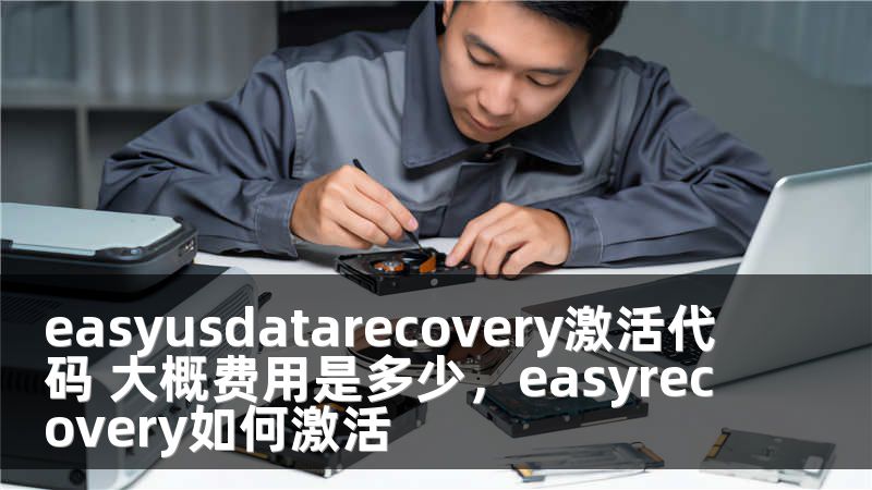 easyusdatarecovery激活代码 大概费用是多少，easyrecovery如何激活