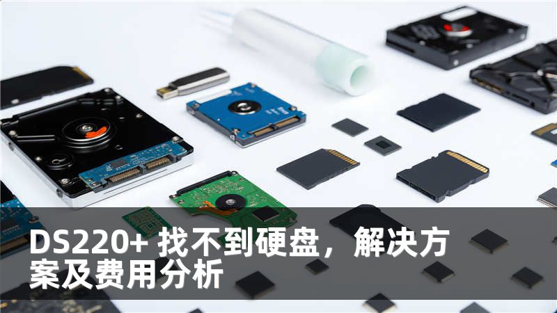 DS220+ 找不到硬盘，解决方案及费用分析