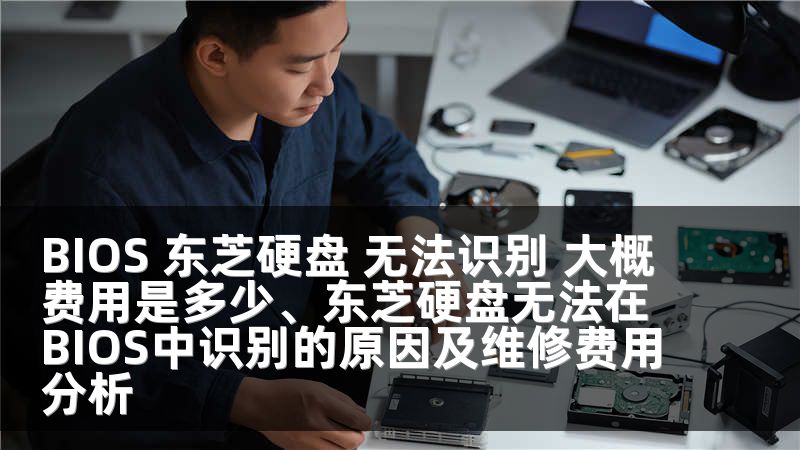 BIOS 东芝硬盘 无法识别 大概费用是多少、东芝硬盘无法在BIOS中识别的原因及维修费用分析