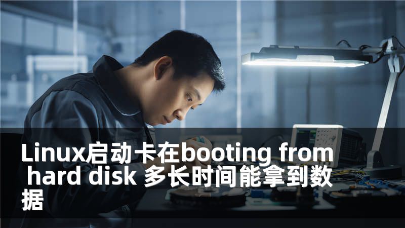 Linux启动卡在booting from hard disk 多长时间能拿到数据