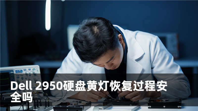 Dell 2950硬盘黄灯恢复过程安全吗