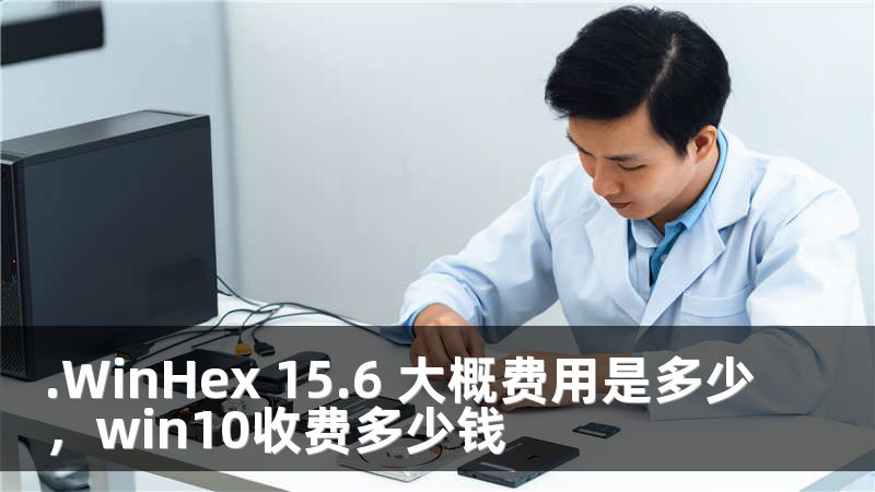 .WinHex 15.6 大概费用是多少，win10收费多少钱