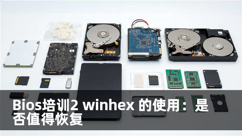 Bios培训2 winhex 的使用：是否值得恢复