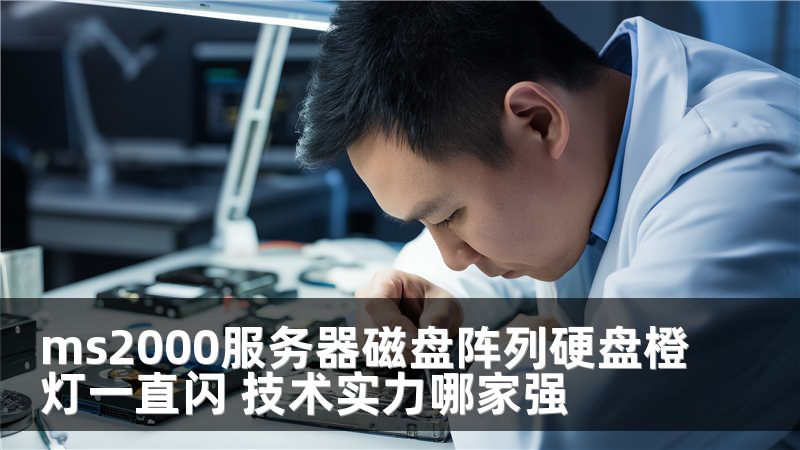 ms2000服务器磁盘阵列硬盘橙灯一直闪 技术实力哪家强