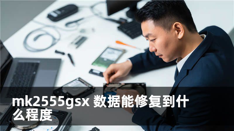 mk2555gsx 数据能修复到什么程度