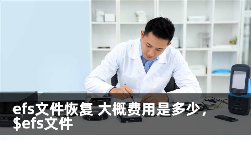 efs文件恢复 大概费用是多少，$efs文件