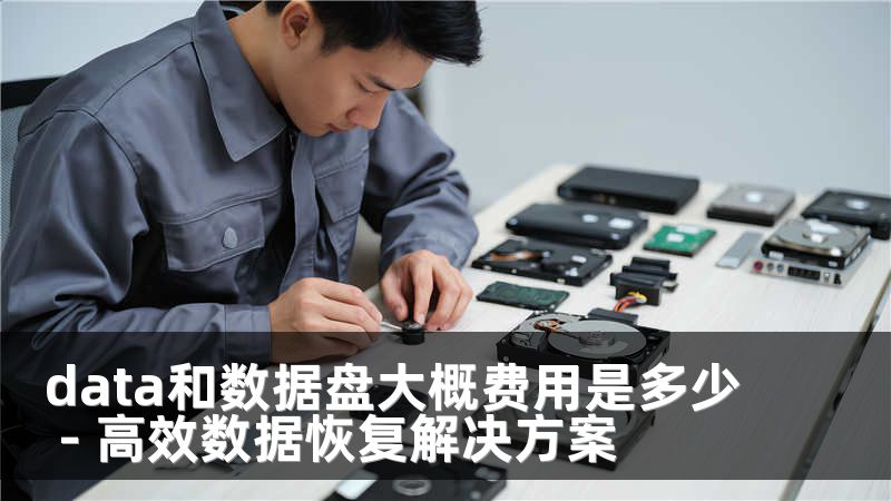 data和数据盘大概费用是多少 - 高效数据恢复解决方案