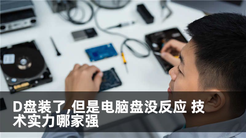 D盘装了,但是电脑盘没反应 技术实力哪家强