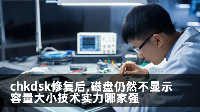 chkdsk修复后,磁盘仍然不显示容量大小技术实力哪家强