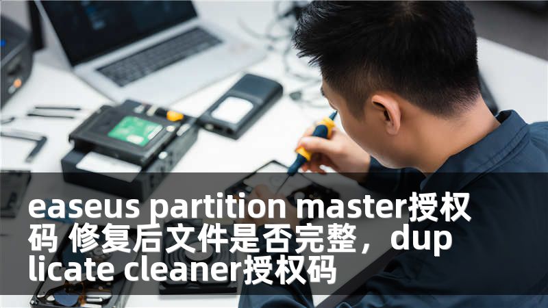 easeus partition master授权码 修复后文件是否完整，duplicate cleaner授权码