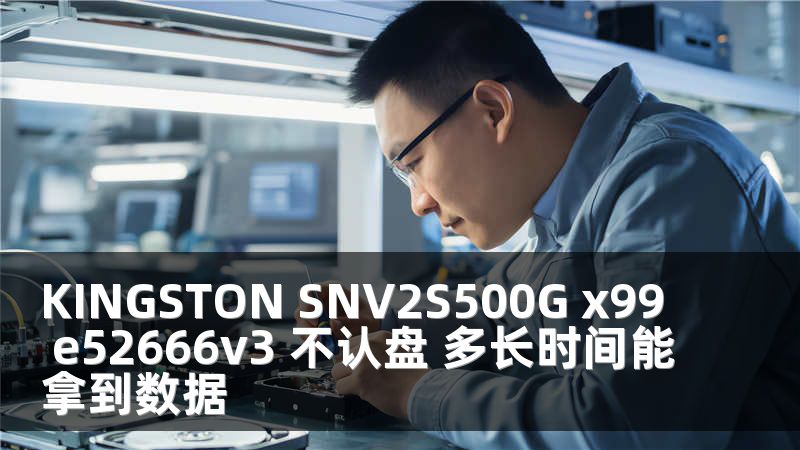 KINGSTON SNV2S500G x99 e52666v3 不认盘 多长时间能拿到数据