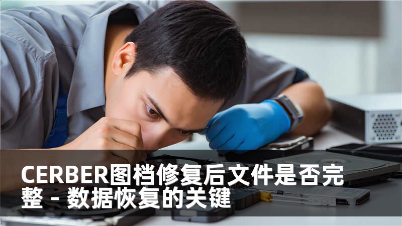 CERBER图档修复后文件是否完整 - 数据恢复的关键