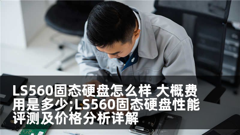 LS560固态硬盘怎么样 大概费用是多少;LS560固态硬盘性能评测及价格分析详解
