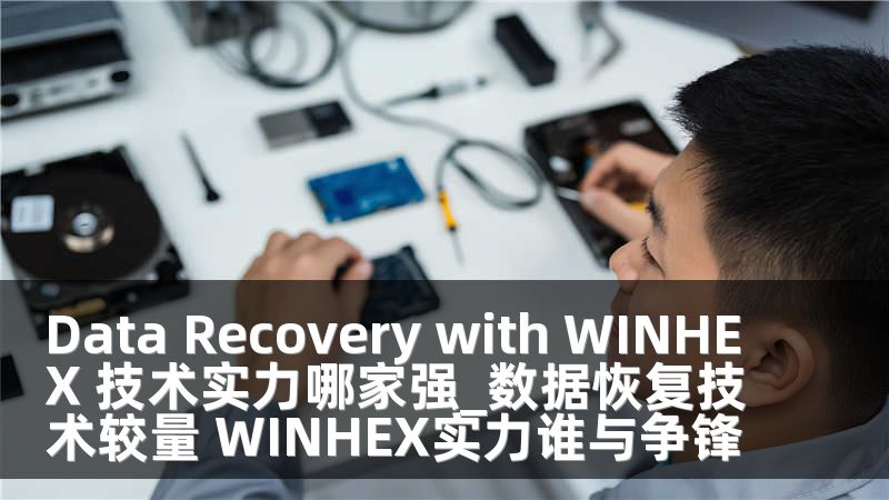 Data Recovery with WINHEX 技术实力哪家强_数据恢复技术较量 WINHEX实力谁与争锋