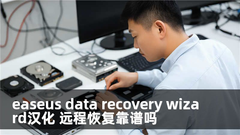 easeus data recovery wizard汉化 远程恢复靠谱吗
