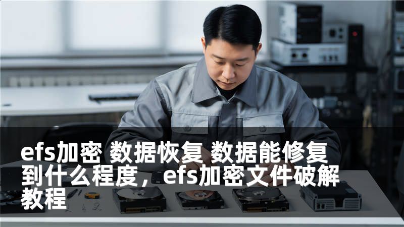 efs加密 数据恢复 数据能修复到什么程度，efs加密文件破解教程