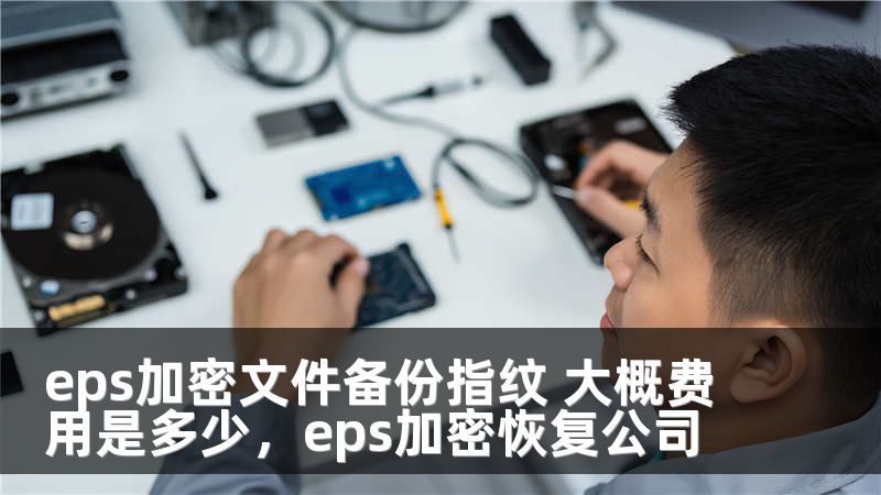 eps加密文件备份指纹 大概费用是多少，eps加密恢复公司