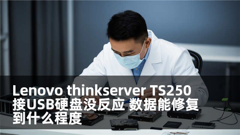 Lenovo thinkserver TS250 接USB硬盘没反应 数据能修复到什么程度