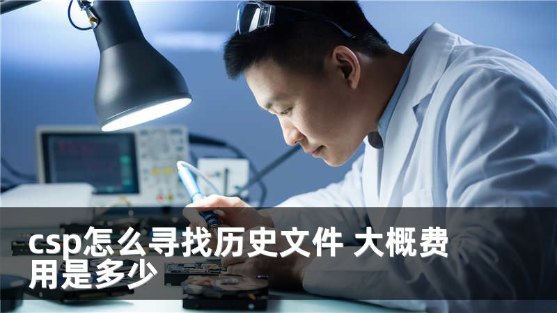 csp怎么寻找历史文件 大概费用是多少