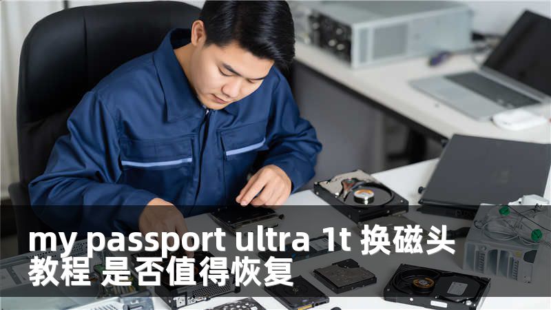 my passport ultra 1t 换磁头教程 是否值得恢复