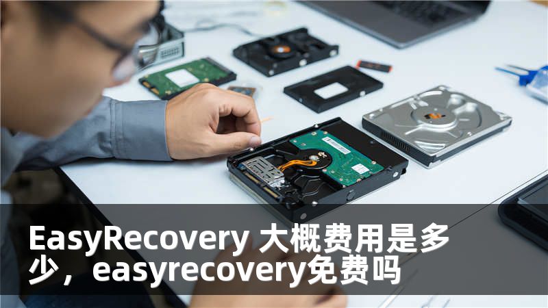 EasyRecovery 大概费用是多少，easyrecovery免费吗