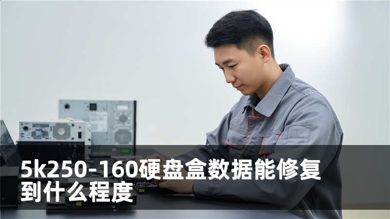 5k250-160硬盘盒数据能修复到什么程度