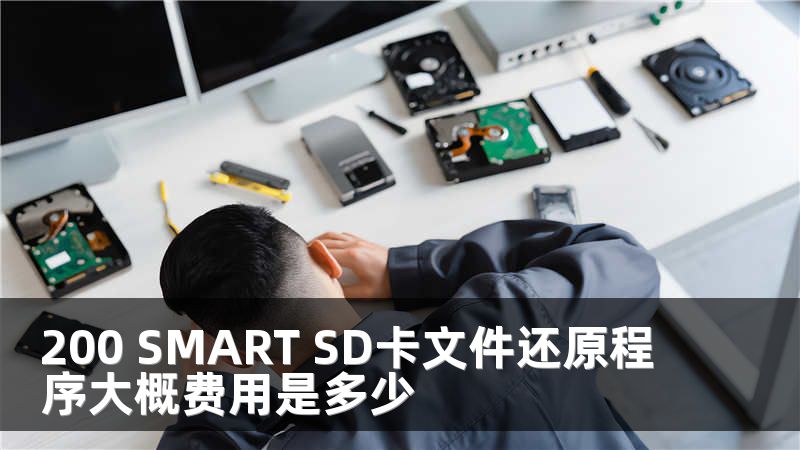 200 SMART SD卡文件还原程序大概费用是多少